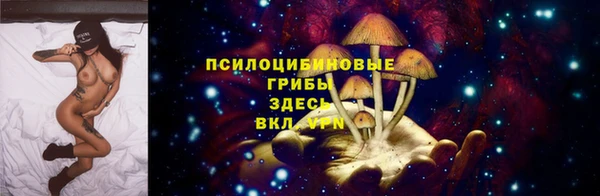 apvp Горняк