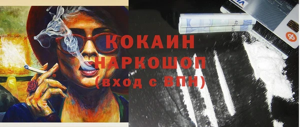 apvp Горняк