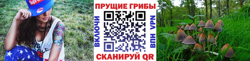 Псилоцибиновые грибы мухоморы  наркота  Курск 